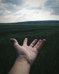 Cropped image of hand against grassy field