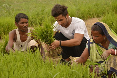 Man assisting farmers while harvesting crop at farm