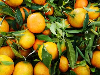 Full frame shot of oranges