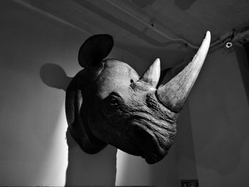 Close-up of an animal representation