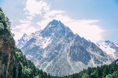 Summer landscape in the mountain with forest