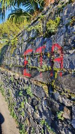 Close-up of stone wall