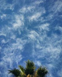 Low angle view of palm trees against cloudy sky