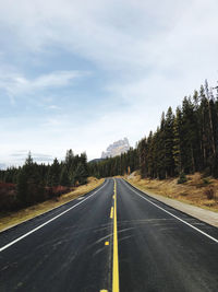 Empty road amidst trees against sky