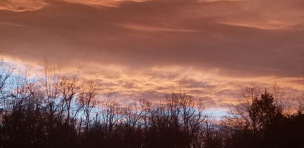 Low angle view of silhouette bare trees against sky during sunset