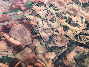 Aerial view of cultivated land 