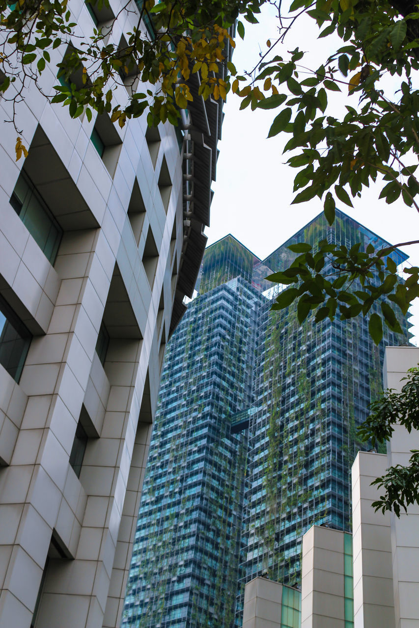 LOW ANGLE VIEW OF OFFICE BUILDING