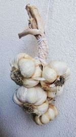 Close-up of garlic bulbs hanging on wall
