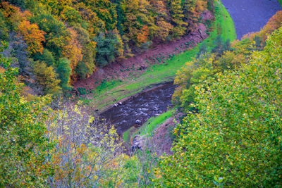 High angle view of river amidst trees during autumn