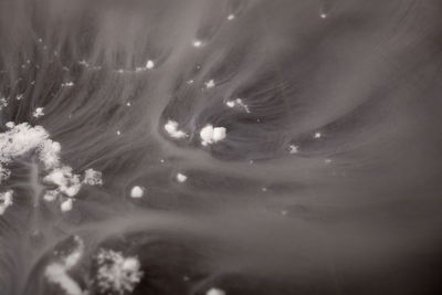 Full frame shot of water drops on sea