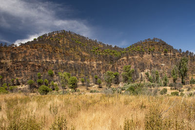 Scenic view of burned mountains against sky