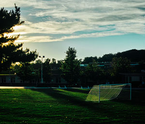 Lawn in park