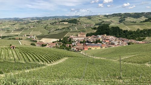 Aerial view of agricultural landscape