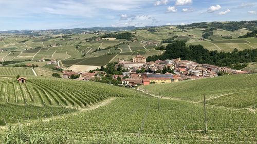 Aerial view of agricultural landscape