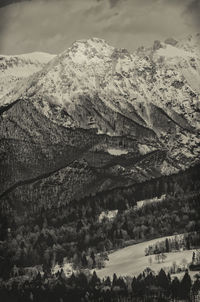 Scenic view of tree mountains against sky