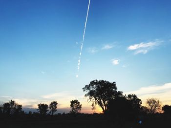 Silhouette trees against sky during sunset