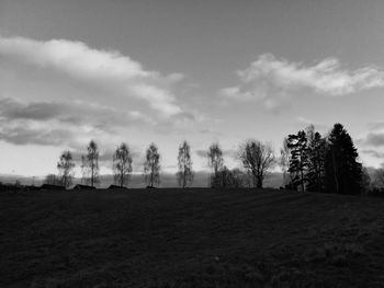 Trees on field against cloudy sky