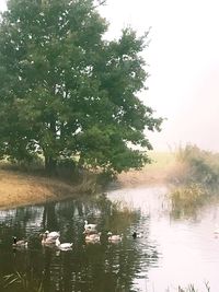 Scenic view of lake