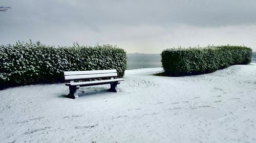 View of snow covered trees against sky