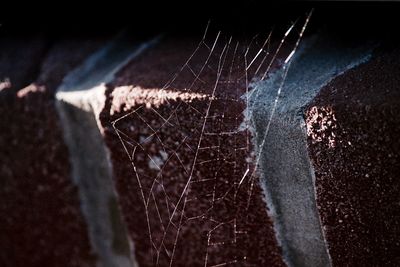 Close-up of water drops on spider web