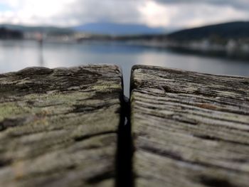 Close-up of wood against sea
