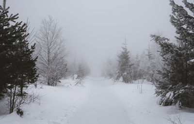 Trees on snow covered landscape against clear sky