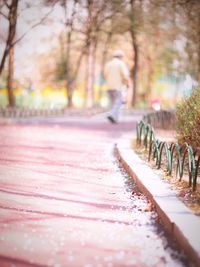 Close-up of trees against blurred background