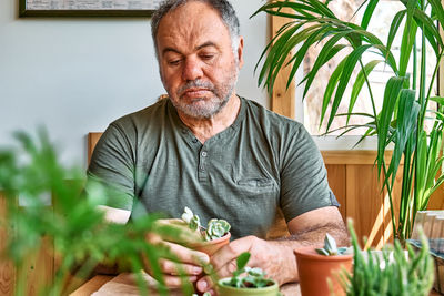 Mature bearded man taking care of plants and home flowers, planting  succulent in pot on table.