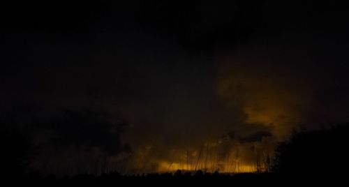 Silhouette trees against sky at night