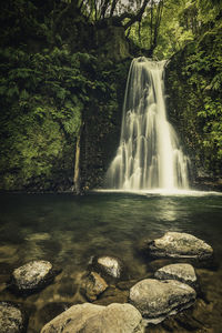 Scenic view of waterfall in forest