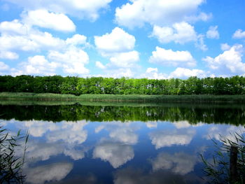 Reflection of trees in calm lake against sky