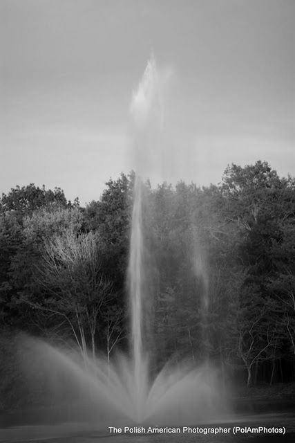 tree, motion, waterfall, beauty in nature, scenics, long exposure, fog, nature, sky, foggy, power in nature, blurred motion, tranquility, tranquil scene, idyllic, weather, outdoors, forest, growth, day