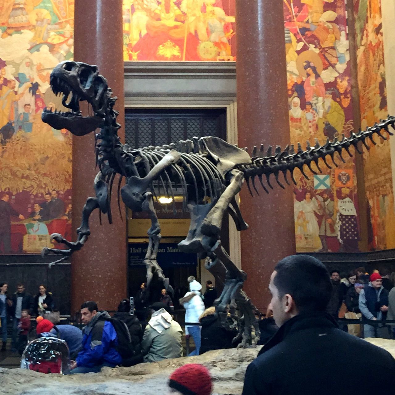 American museum of natural history