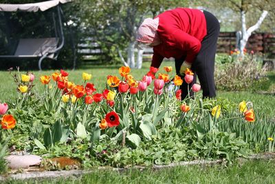 Woman picking flowers