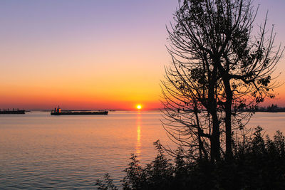 Silhouette trees by sea against sky during sunset