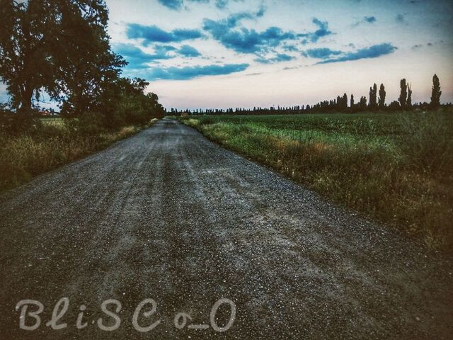 sky, cloud - sky, plant, direction, transportation, road, nature, the way forward, tree, landscape, diminishing perspective, land, vanishing point, field, environment, no people, grass, day, tranquil scene, dirt road, outdoors