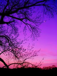 Low angle view of bare tree against sky