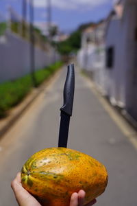 Close-up of hand holding apple