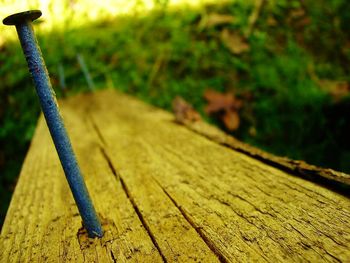 Close-up of wooden plank