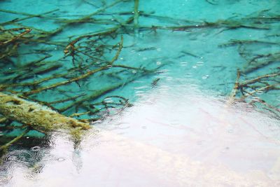 Close-up of water against blue sky