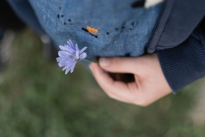 Close-up of hand holding flower