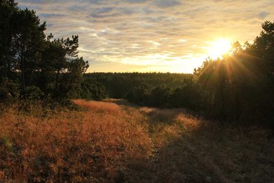 Scenic view of landscape against sky during sunset