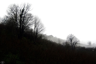 Silhouette bare trees on field against clear sky