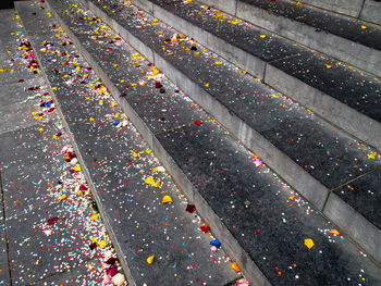 High angle view of leaves on street