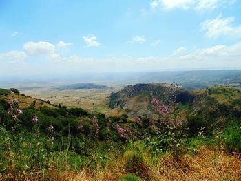 Scenic view of landscape against cloudy sky