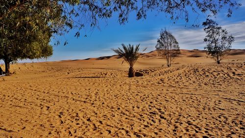 Scenic view of desert against sky