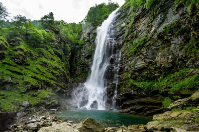 Scenic view of waterfall in forest