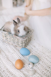 Midsection of woman by rabbit and easter eggs on wool