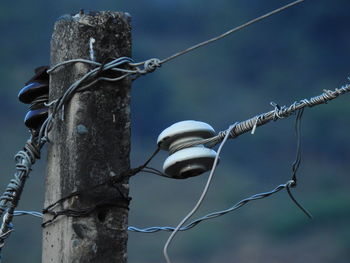 Low angle view of barbed wire against fence