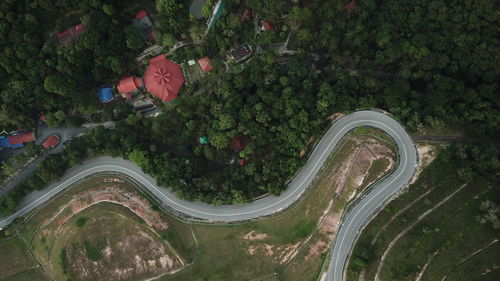 High angle view of vehicles on road by trees